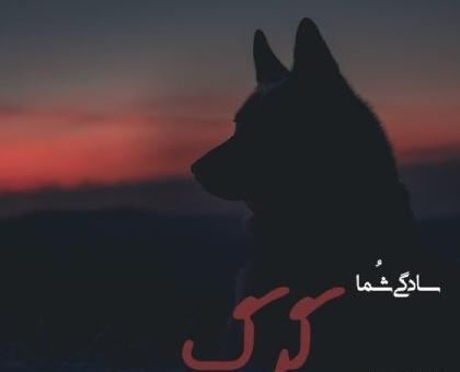عکس گرگ نوشته غمگین
