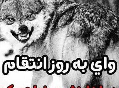 عکس گرگ نوشته غمگین