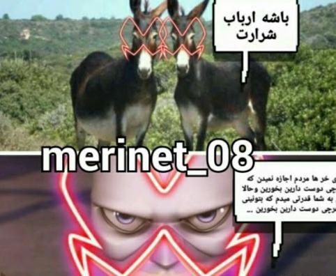 عکس دختر کفشدوزکی خنده دار