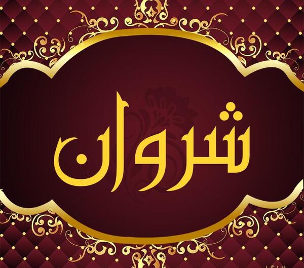 عکس شایان شروان