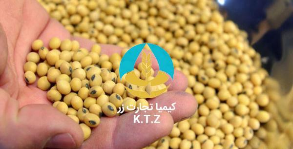 عکس تصاویر کشت سویا