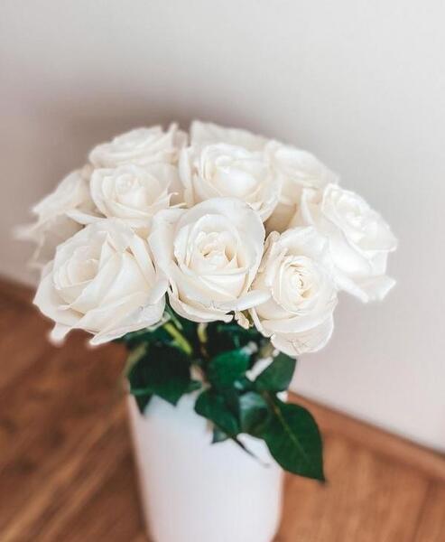 عکس گلهای زیبای سفید