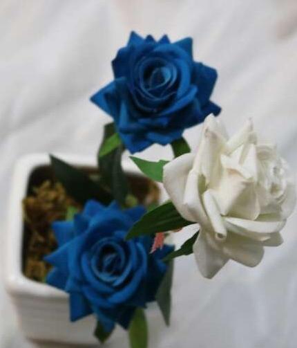 عکس گلهای زیبای سفید
