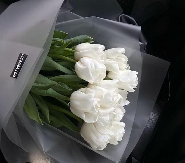 عکس گلهای زیبای سفید