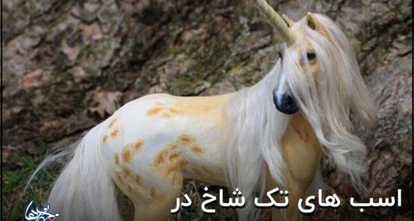 عکس اسب تک شاخ نماد چیست