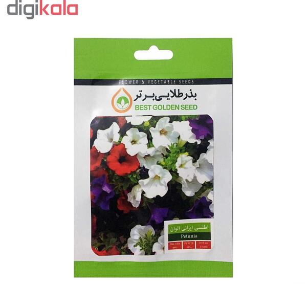 عکس گل اطلسی ایرانی