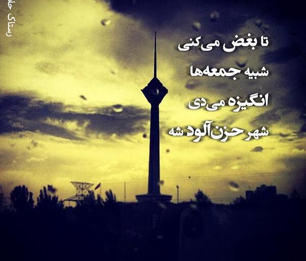 عکس های از غزل شاکری
