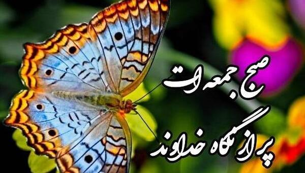 عکس ماشین دنا پلاس صورتی