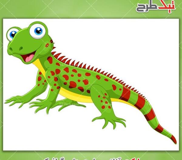 عکس مارمولک انیمیشن