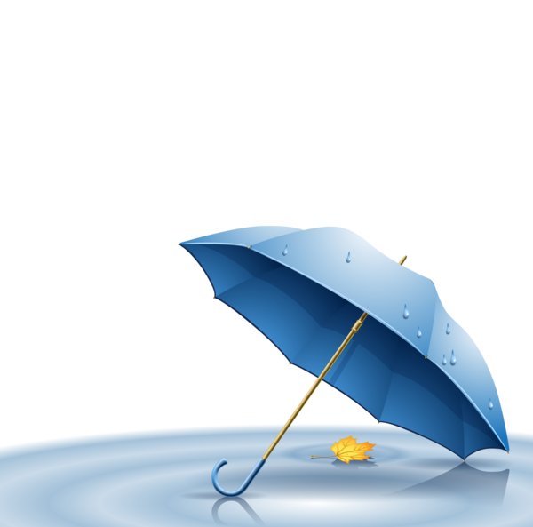 عکس شتر گرافیکی
