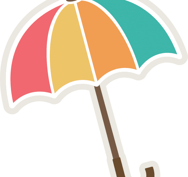 عکس شتر گرافیکی