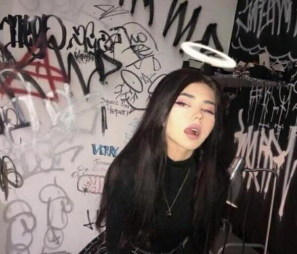 عکس پروف شاخ ویسگون