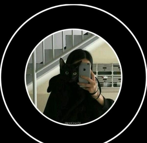 عکس پروف شاخ ویسگون