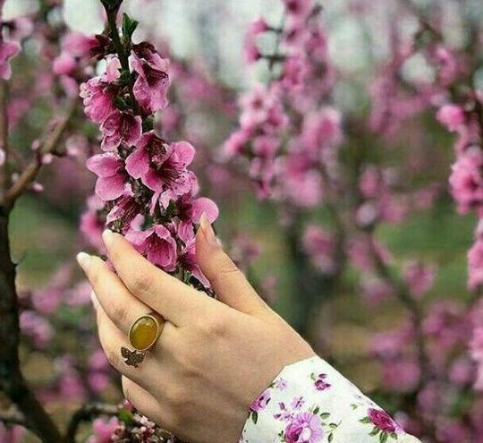عکس پروفایل زیبا زنانه