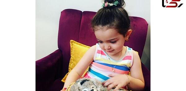 عکس بدون چادر آزاده نامداری