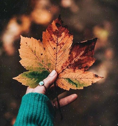 دانلود عکس پروفایل پاییزی دخترانه