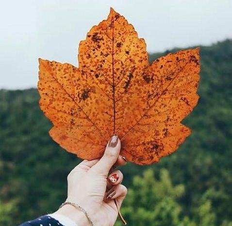 دانلود عکس پروفایل پاییزی دخترانه