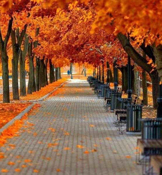 دانلود عکس پروفایل پاییزی دخترانه