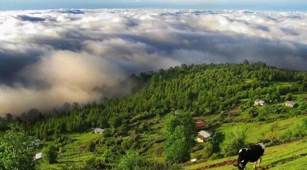 عکس مدل لباس زنان قاجار