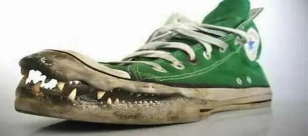 عکس کفش زنانه خنده دار