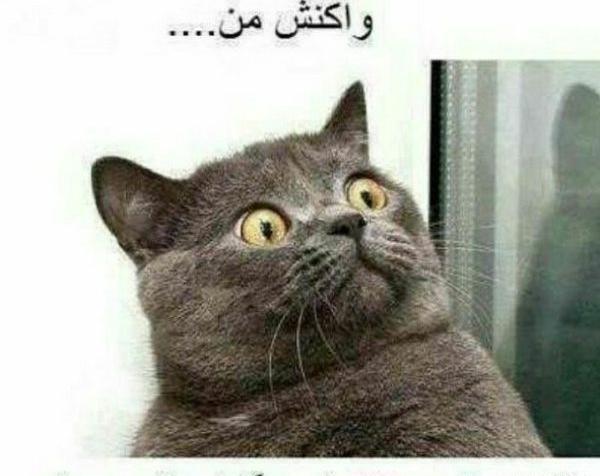 عکس نیسان خنده دار