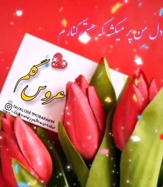 عکس تولدت مبارک هم عروس گلم