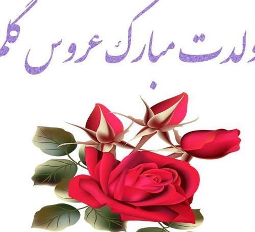 عکس تولدت مبارک هم عروس گلم