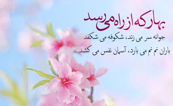 عکس بهار برای وضعیت واتساپ