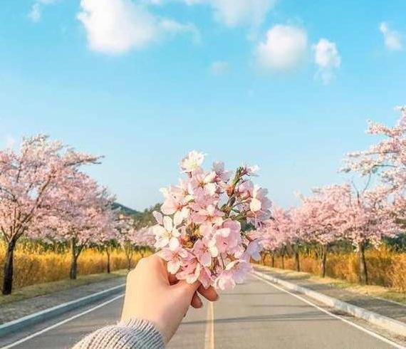 عکس بهار برای وضعیت واتساپ