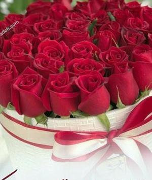 عکس تبریک تولد عمو