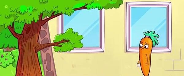 عکس فیلم زورو
