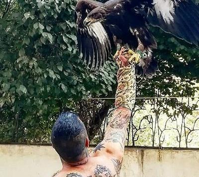 عکس صورت وحید مرادی