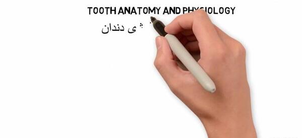 عکس اسکلت فک انسان