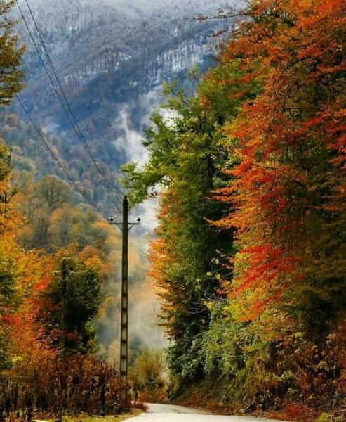 عکس طبیعت زیبای شمال