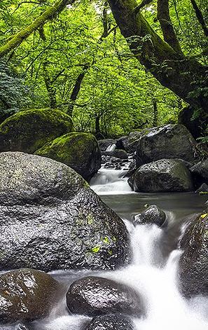 عکس طبیعت زیبای شمال