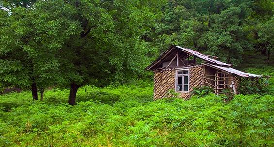 عکس طبیعت زیبای شمال