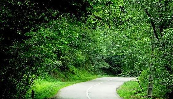 عکس طبیعت زیبای شمال