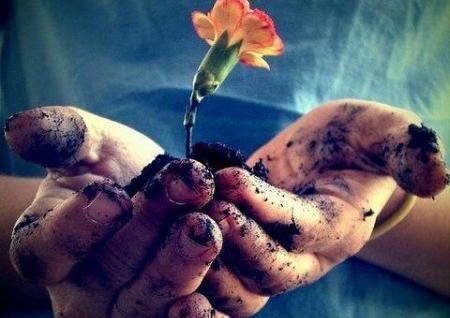 عکس و تصاویر رمانتیک