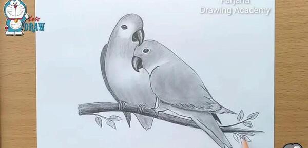 عکس نقاشی سیاه قلم پرندگان