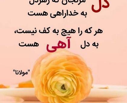عکس نوشته بدون مادر