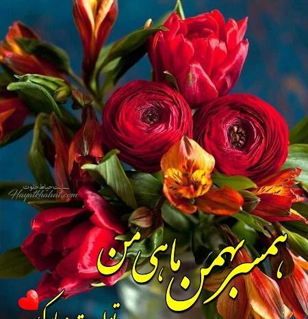 عکس عشق بهمن ماهی