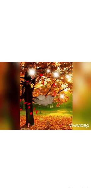 عکس ضرب المثل بزک نمیر بهار میاد