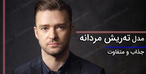عکس ته ریش مردانه
