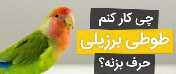 عکس عروس هلندی که حرف میزنه