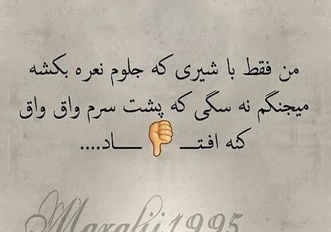 عکس عروس هلندی که حرف میزنه