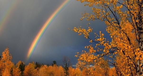 عکس طبیعت برای پروفایل پاییز
