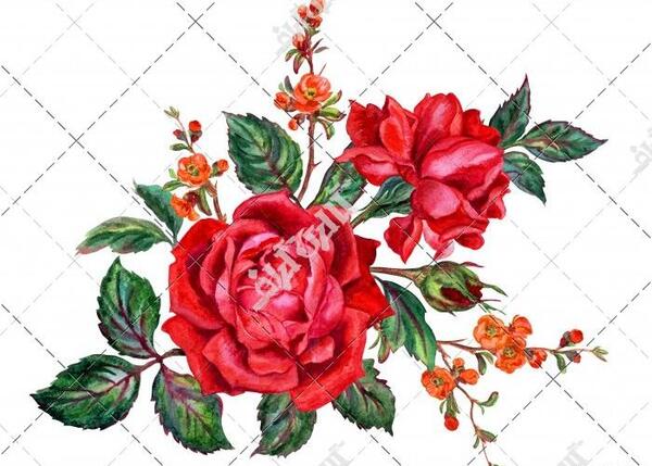 عکس حاشیه گل لاله
