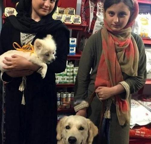 عکس سگ نیکا فلاحی کوکو