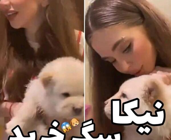 عکس سگ نیکا فلاحی کوکو
