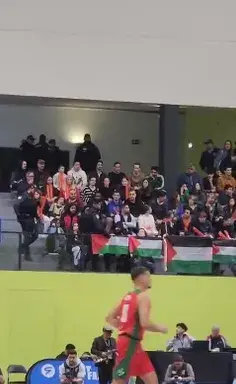 عکس آزادی پروانه
